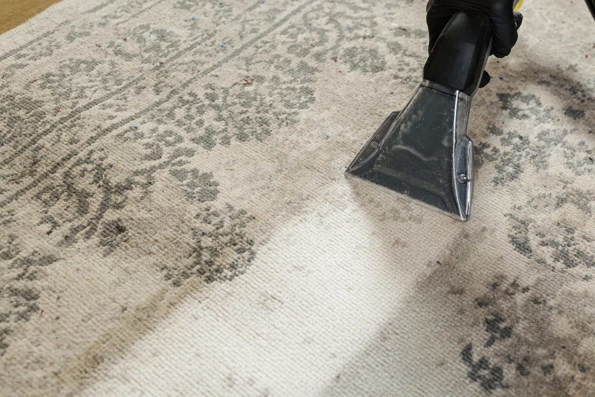 A carpet extractor part-way across a patterned rug, with a clear line between the cleaned half and the rest